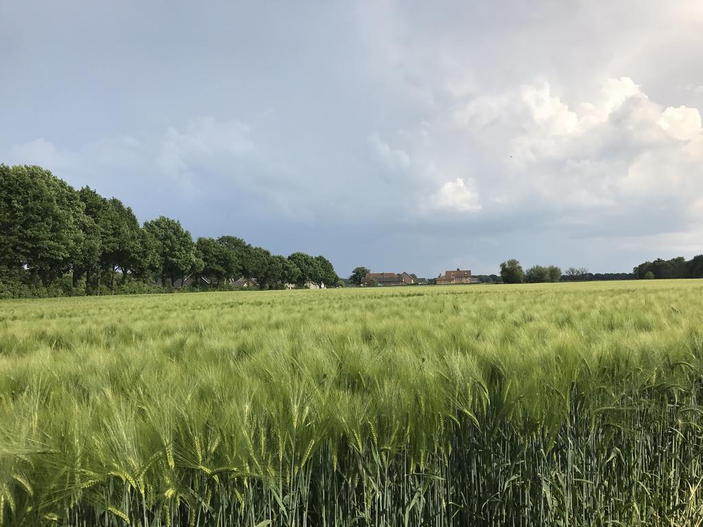 Appartementen De Zegelskoel Heijenrath Esterno foto